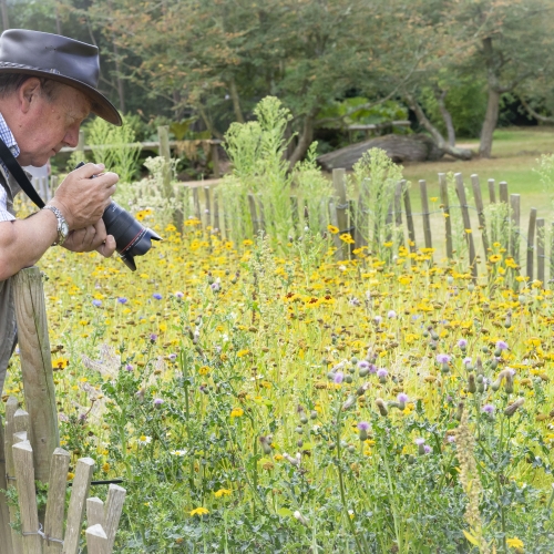 Pollinator project volunteers 3