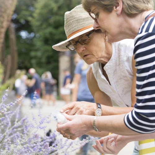 Pollinator project volunteers