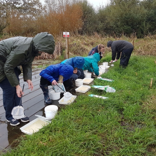 Pond teacher training 