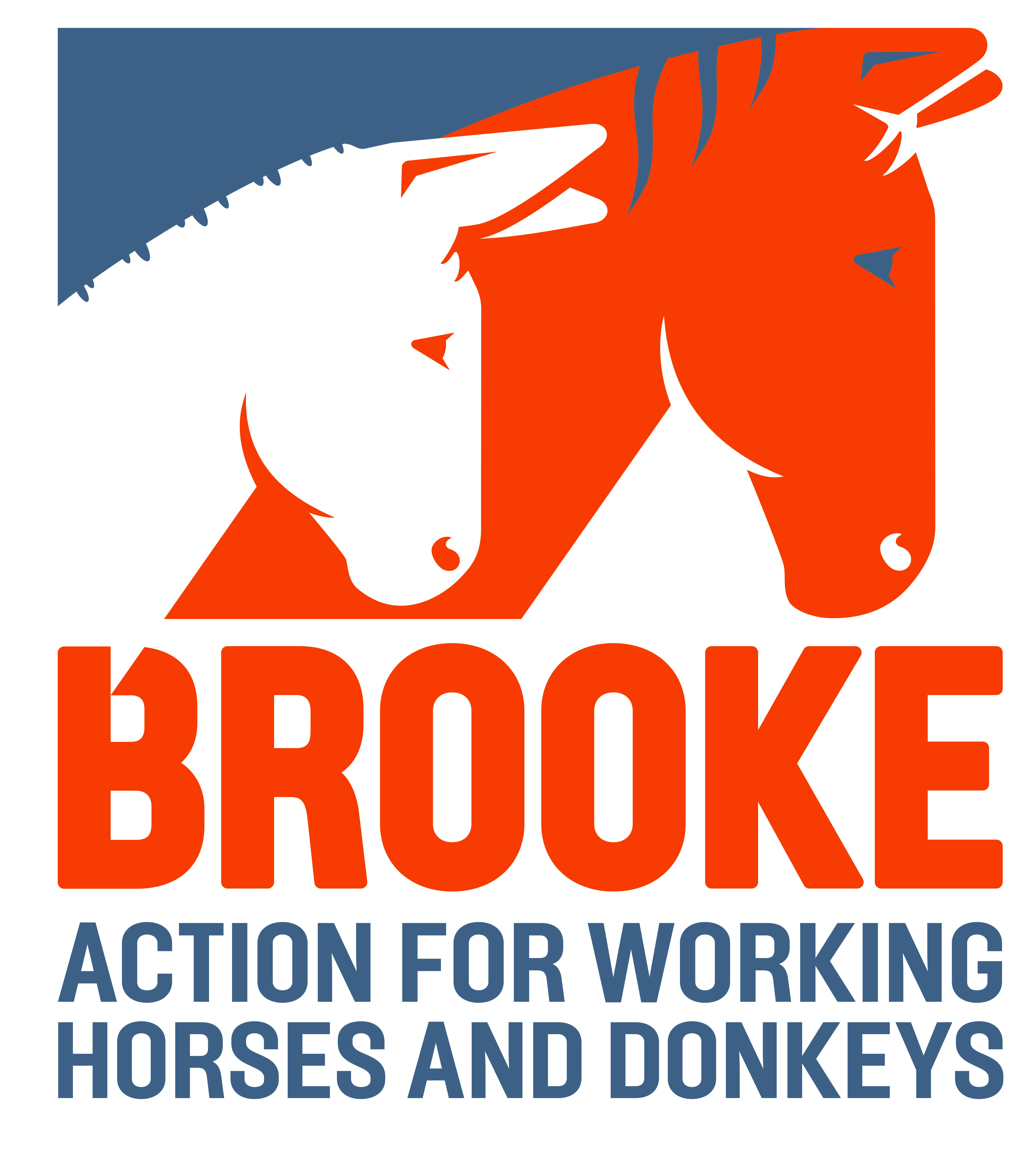 Brooke Hospital for Animals